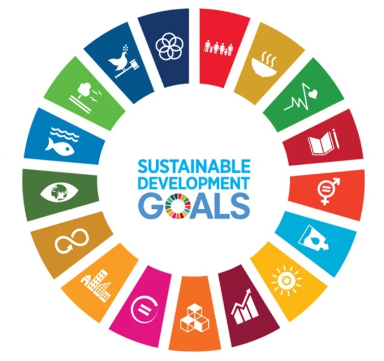 Sustainable Development Goals (SDG)